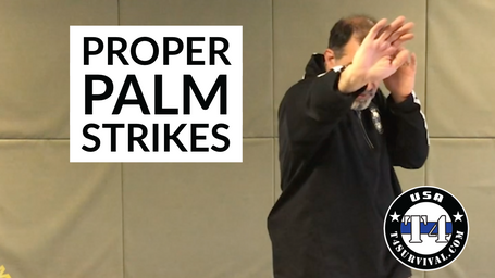 Your First Combative Palm Strikes